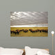 Bison Grazing, Saskatchewan, Canada Wall Mural