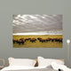 Bison Grazing, Saskatchewan, Canada Wall Mural