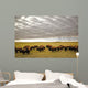 Bison Grazing, Saskatchewan, Canada Wall Mural