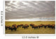 Bison Grazing, Saskatchewan, Canada Wall Mural