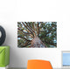 Sequoia Wall Mural