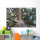Sequoia Wall Mural