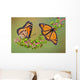 Viceroys on Poke Weed Wall Mural
