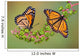 Viceroys on Poke Weed Wall Mural