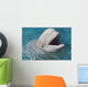 Beluga Whale In Captivity - Marineland - Niagara Falls Wall Mural