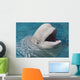 Beluga Whale In Captivity - Marineland - Niagara Falls Wall Mural