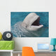 Beluga Whale In Captivity - Marineland - Niagara Falls Wall Mural
