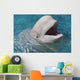 Beluga Whale In Captivity - Marineland - Niagara Falls Wall Mural