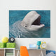 Beluga Whale In Captivity - Marineland - Niagara Falls Wall Mural