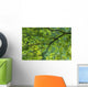 Maple Tree At Selkirk Provincial Park - Selkirk, Ontario, Canada Wall Mural