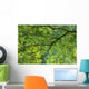 Maple Tree At Selkirk Provincial Park - Selkirk, Ontario, Canada Wall Mural