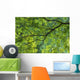 Maple Tree At Selkirk Provincial Park - Selkirk, Ontario, Canada Wall Mural