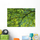Maple Tree At Selkirk Provincial Park - Selkirk, Ontario, Canada Wall Mural