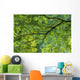 Maple Tree At Selkirk Provincial Park - Selkirk, Ontario, Canada Wall Mural