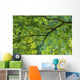 Maple Tree At Selkirk Provincial Park - Selkirk, Ontario, Canada Wall Mural