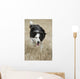 Border Collie - Alberta Canada Wall Mural
