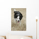 Border Collie - Alberta Canada Wall Mural