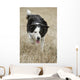 Border Collie - Alberta Canada Wall Mural