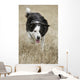 Border Collie - Alberta Canada Wall Mural