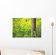 Goldenrod - Binbrook Conservation Area - Binbrook, Ontario, Canada Wall Mural