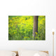 Goldenrod - Binbrook Conservation Area - Binbrook, Ontario, Canada Wall Mural