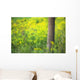 Goldenrod - Binbrook Conservation Area - Binbrook, Ontario, Canada Wall Mural