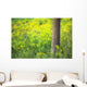 Goldenrod - Binbrook Conservation Area - Binbrook, Ontario, Canada Wall Mural