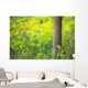 Goldenrod - Binbrook Conservation Area - Binbrook, Ontario, Canada Wall Mural
