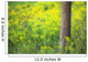 Goldenrod - Binbrook Conservation Area - Binbrook, Ontario, Canada Wall Mural