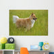 Tan And White, Long Haired Mixed Breed Dog Standing, Canada, Alberta Wall Mural