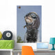 Mixed Breed Dog Dressed Wall Mural