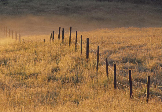 Fence In Pasture Near Cochrane, Alberta, Canada Wall Mural