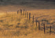 Fence In Pasture Near Cochrane, Alberta, Canada Wall Mural
