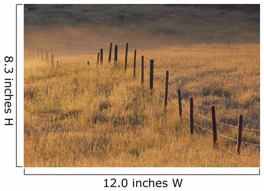 Fence In Pasture Near Cochrane, Alberta, Canada Wall Mural