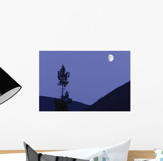 View Of Moon And Mountains, Gaspesie, Quebec Wall Mural