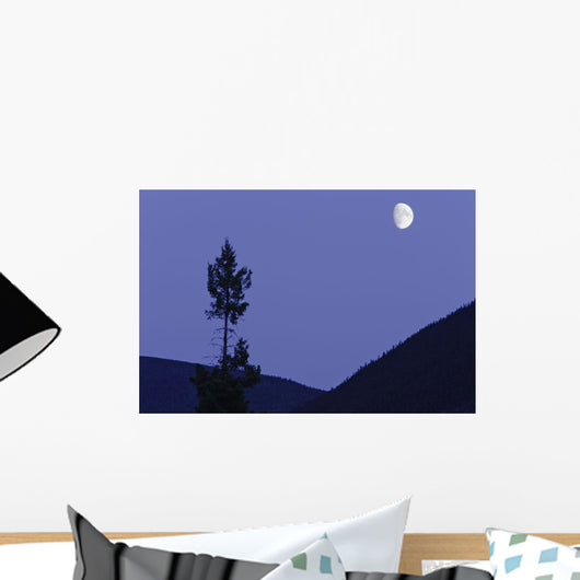 View Of Moon And Mountains, Gaspesie, Quebec Wall Mural