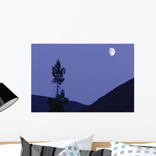 View Of Moon And Mountains, Gaspesie, Quebec Wall Mural