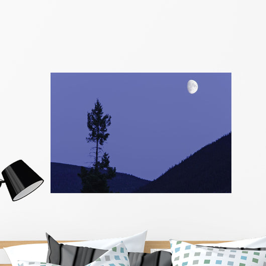 View Of Moon And Mountains, Gaspesie, Quebec Wall Mural