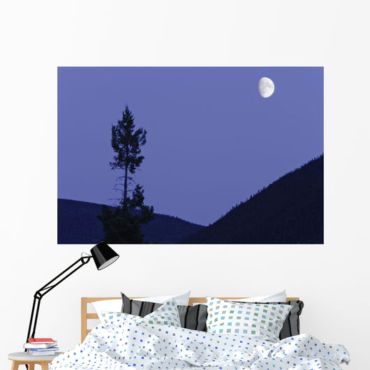 View Of Moon And Mountains, Gaspesie, Quebec Wall Mural