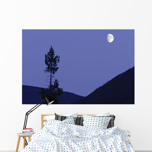 View Of Moon And Mountains, Gaspesie, Quebec Wall Mural