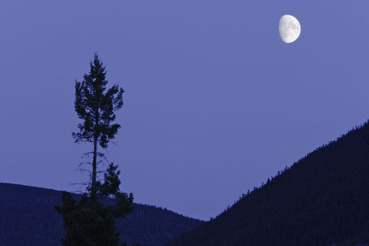View Of Moon And Mountains, Gaspesie, Quebec Wall Mural