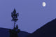 View Of Moon And Mountains, Gaspesie, Quebec Wall Mural
