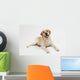 Retriever Labrador Dog Wall Decal