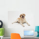 Retriever Labrador Dog Wall Decal