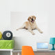 Retriever Labrador Dog Wall Decal
