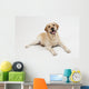 Retriever Labrador Dog Wall Decal