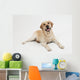 Retriever Labrador Dog Wall Decal