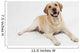 Retriever Labrador Dog Wall Decal