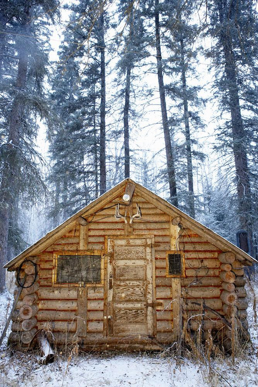Hunting Cabin, Alberta Wall Mural