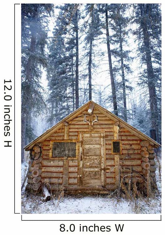 Hunting Cabin, Alberta Wall Mural